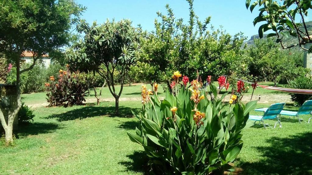 Stoupa'S Paradise المظهر الخارجي الصورة
