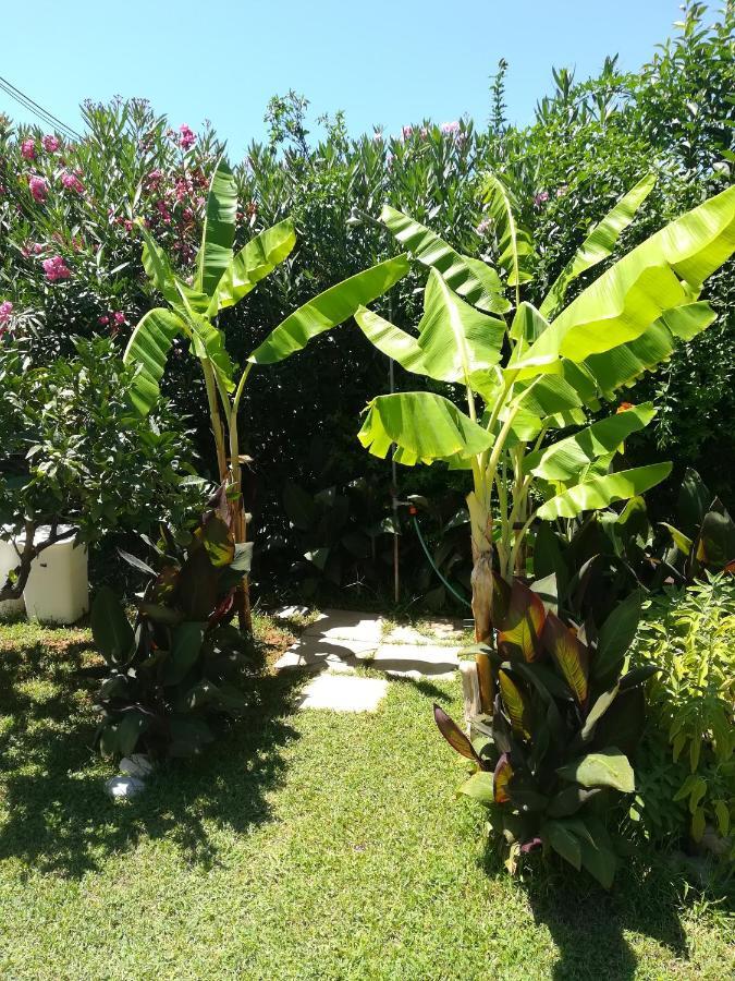 Stoupa'S Paradise المظهر الخارجي الصورة