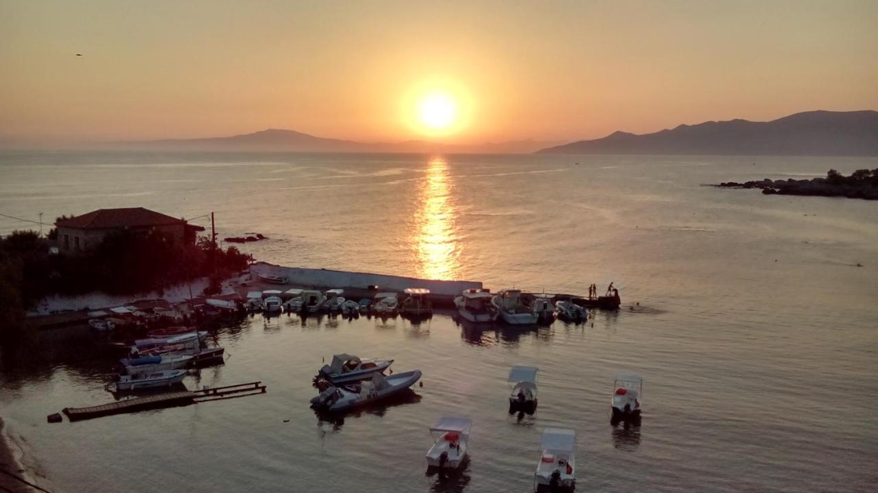 Stoupa'S Paradise المظهر الخارجي الصورة